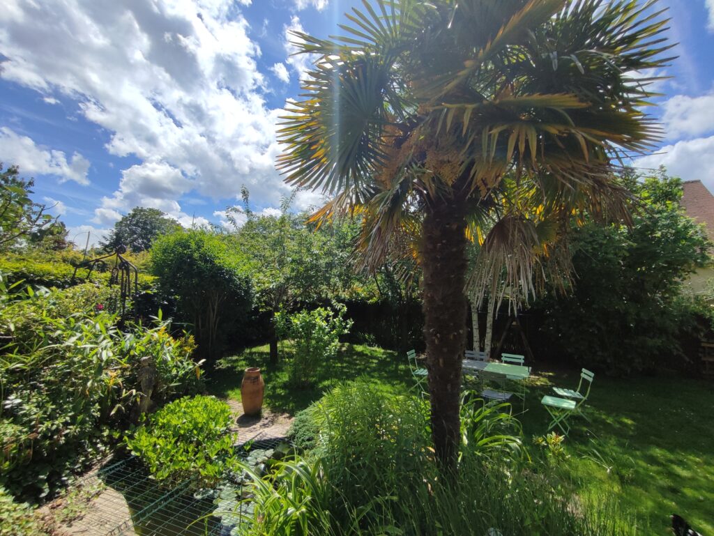 IMG_20240526_135549 - Copie