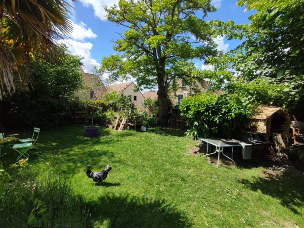 IMG_20240526_135554 - Copie